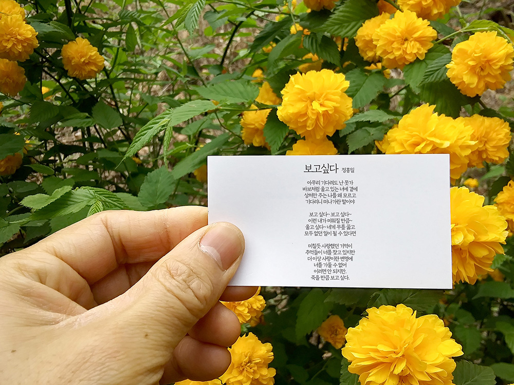 정홍일의 보고싶다