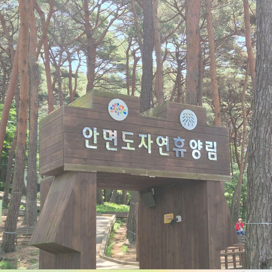 안면도자연휴양림