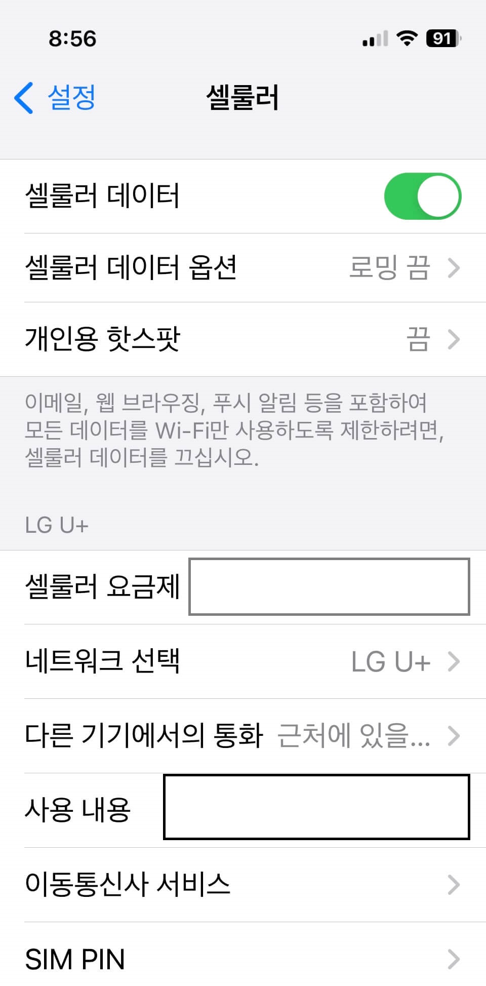 아이폰-셀룰러-데이터-상태