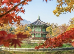 명태균 프로필