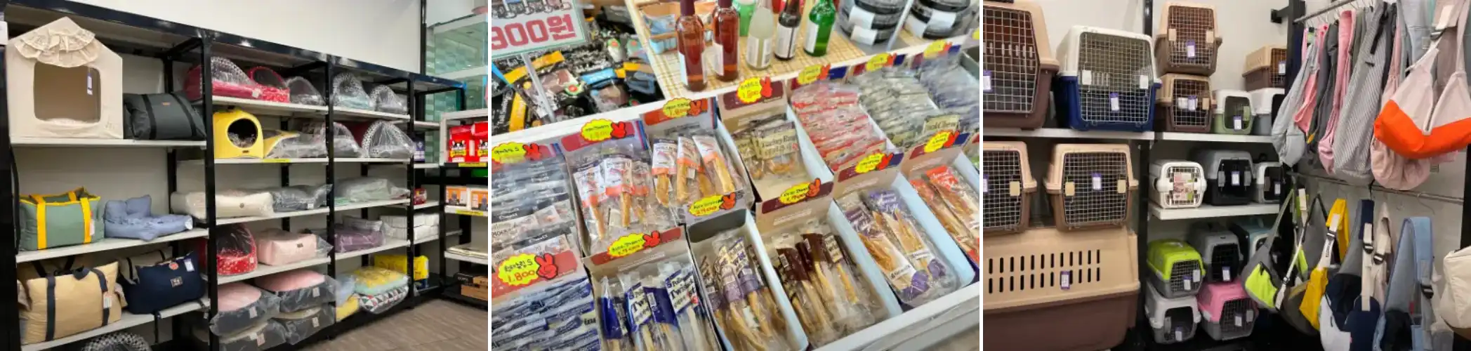 마이독스 매장 사진