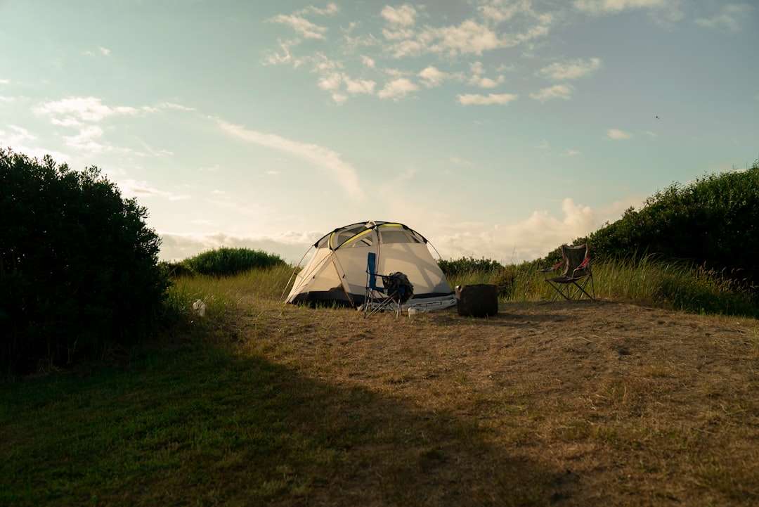 Camp