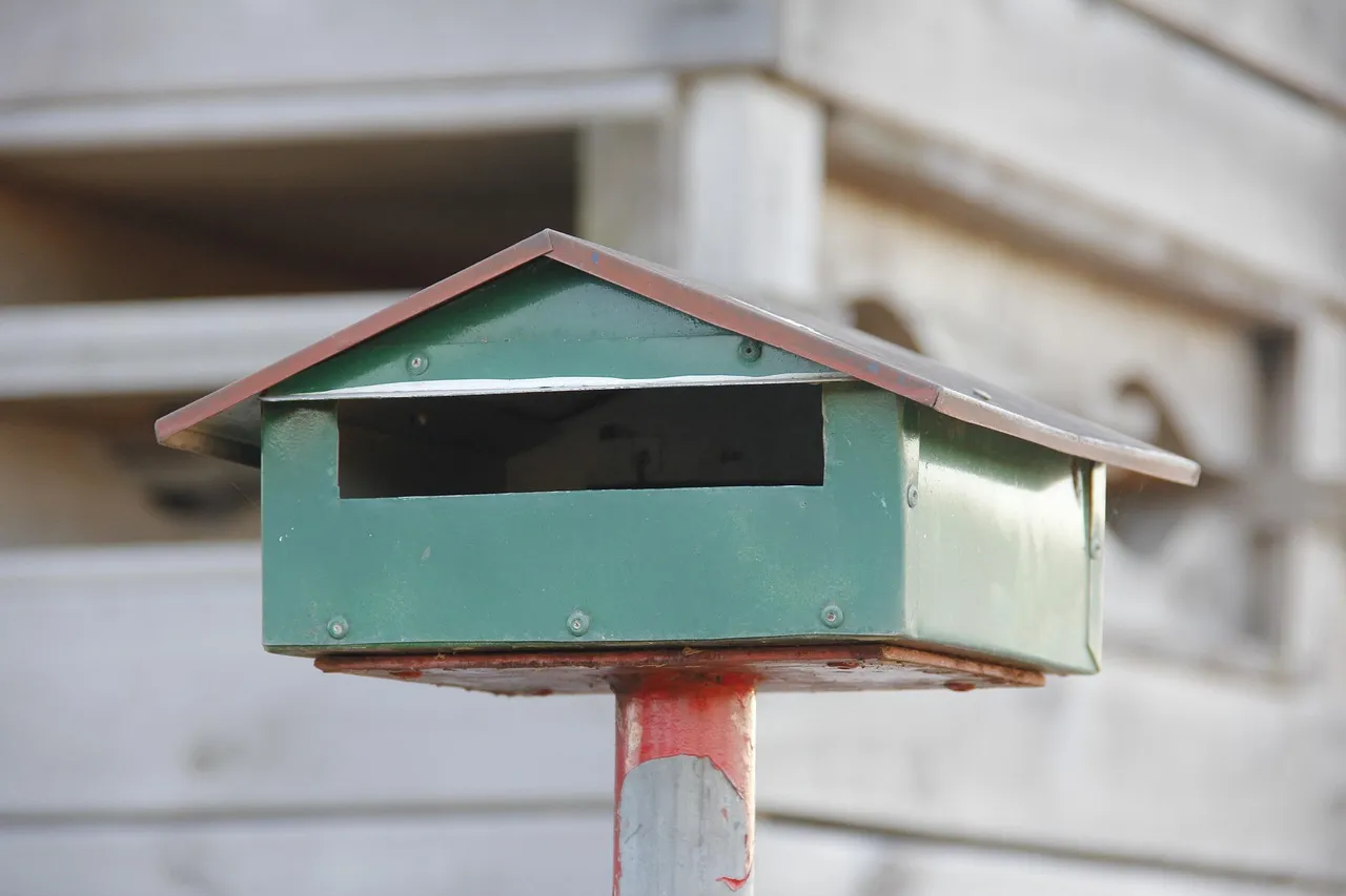 16카카오톡-카톡-업데이트-되돌리기-내용-백업1