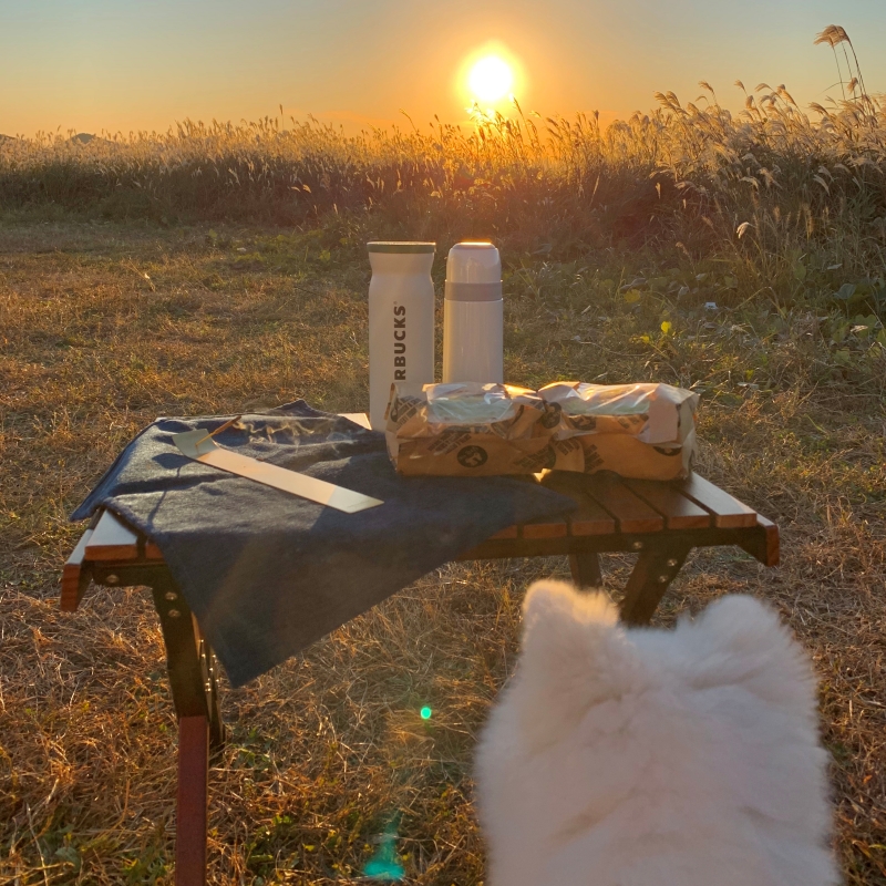 제주도 노을 명소