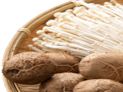 팽이버섯 사진25