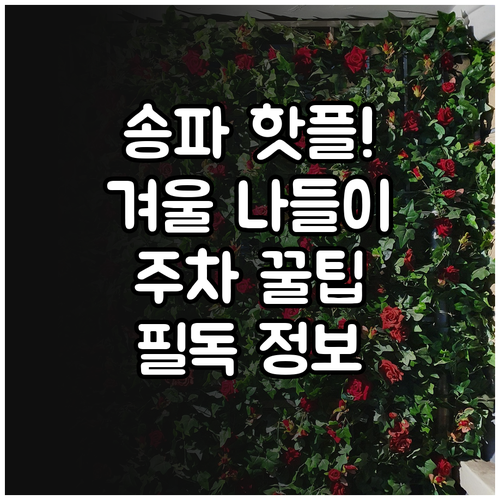 겨울철 송파구 실내외 나들이 명소 정..