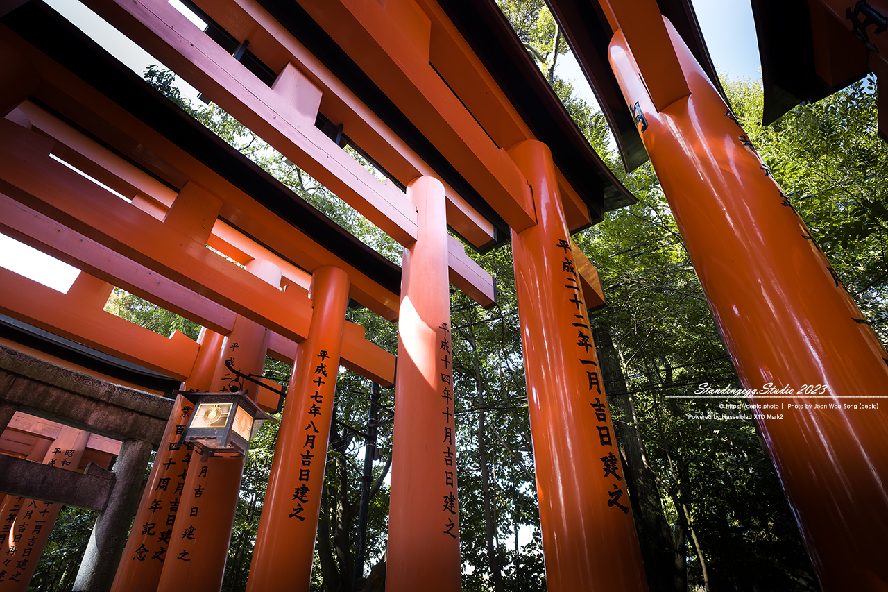 #일본 #교토 #신사 #불교 #일본여행