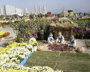 마산 가고파 국화축제_20