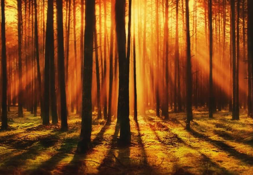 2025 설 연휴 꿀혜택 모음! KTX,SRT 최대 40% 할인