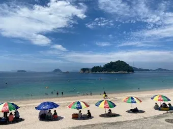 비진도 배시간표 예매 요금 배편 예약_9