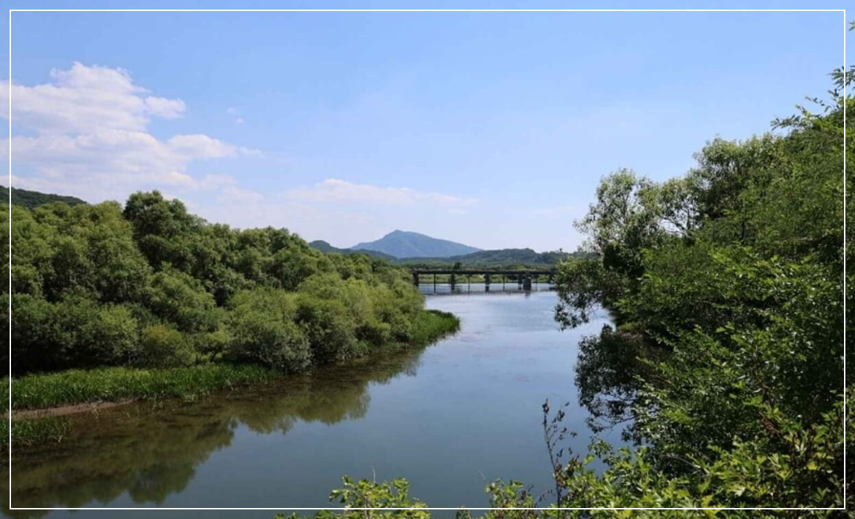 철원 가볼만한곳 베스트10 DMZ 생태평화공원