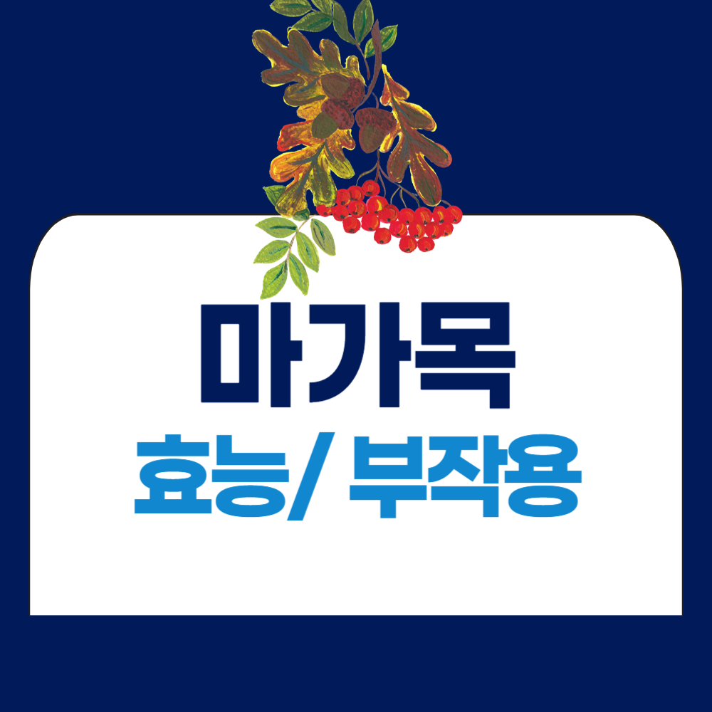 마가목효능, 마가목 부작용 알아보기