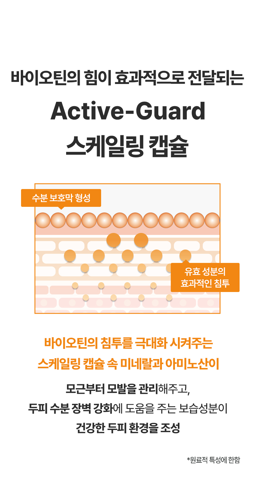 닥터방기원 바이오틴 샴푸-효능