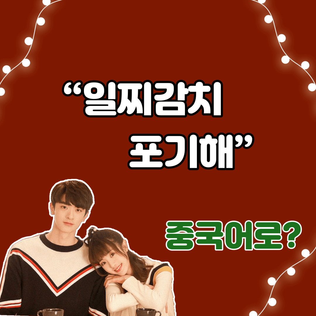 중국어한마디&quot;일찌감치 포기해&quot;