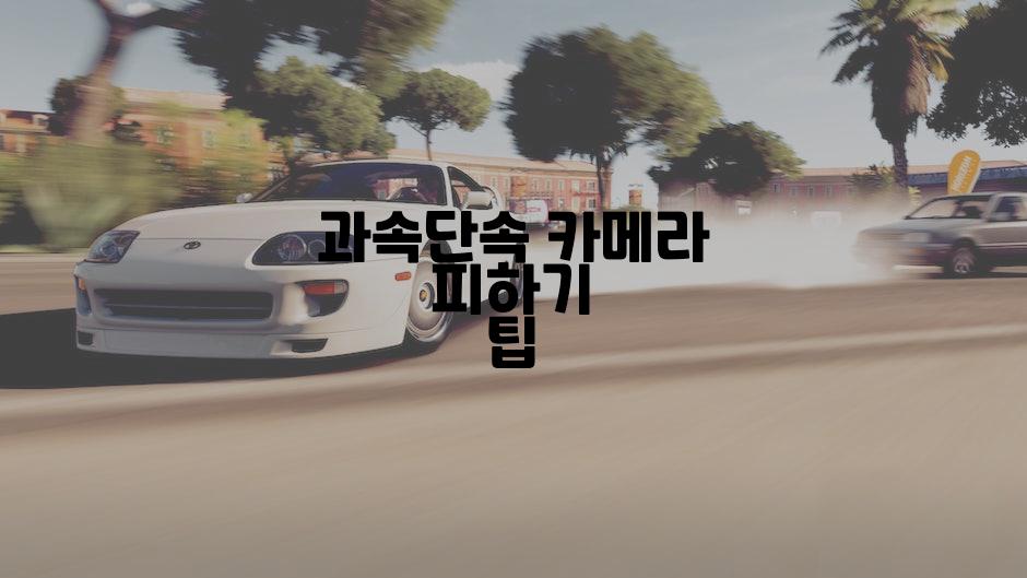 과속단속 카메라 피하기 팁