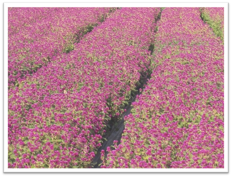 경기도 가볼만한 곳 4