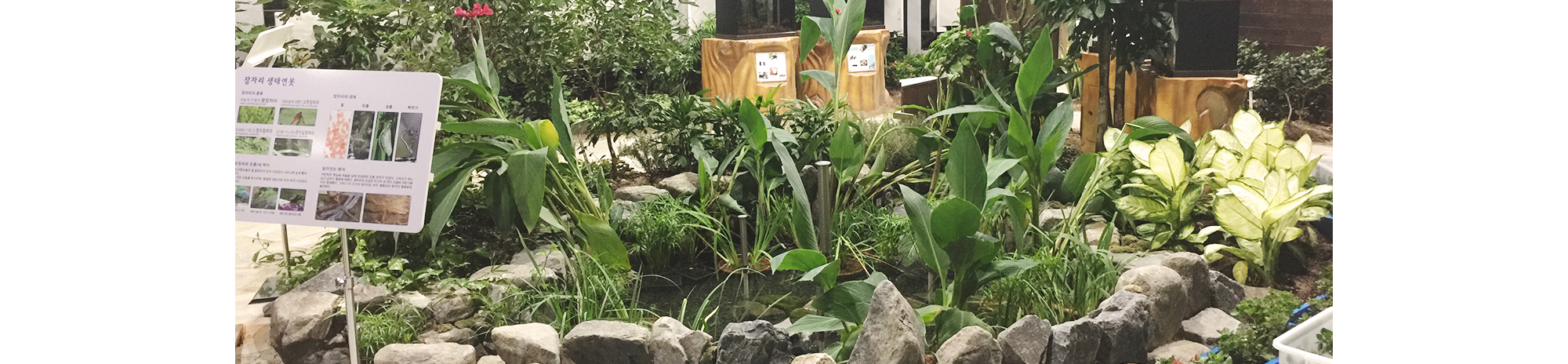 대전곤충생태관 반딧불이 불빛 체험