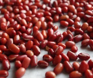 삶은팥 팥빵 팥떡 팥죽 칼로리