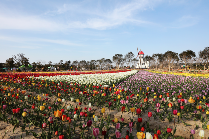 신안 가볼만한곳 베스트10