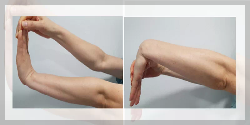 손목 굴곡 운동