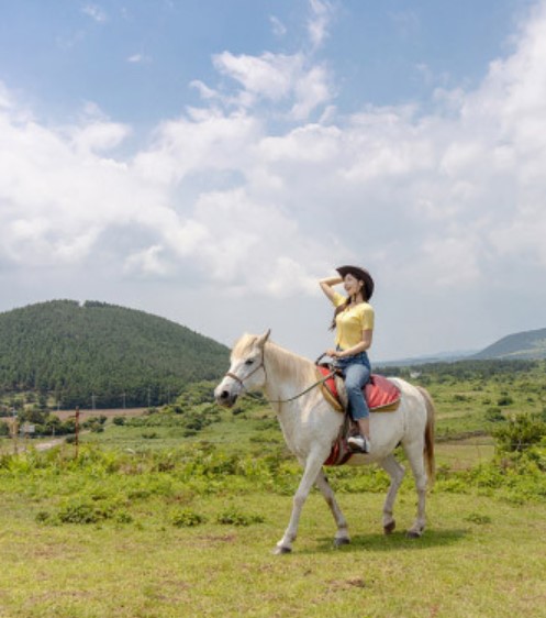 초원에서 말을타는 사람
