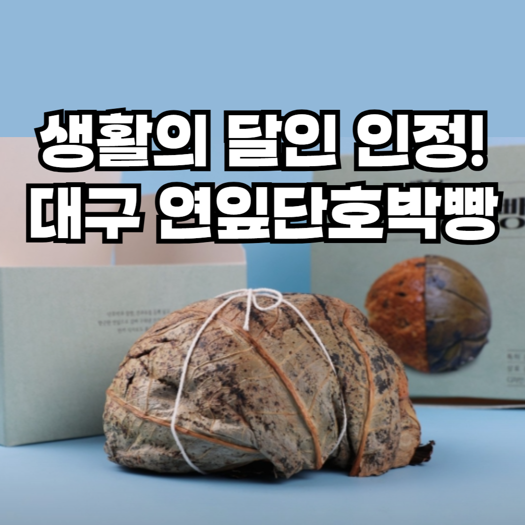 생활의달인 연잎 단호박 빵 달인 대구 메종드빵 위치 가격 주차