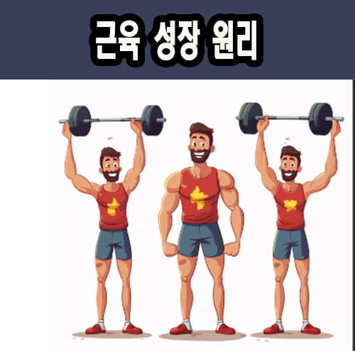๊ทผ์ก - ํค์ฐ๋ - ์์