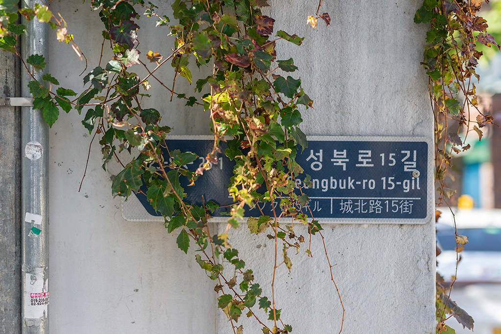 혜화문
성북동
한양도성길
백악구간
서울여행
서울단풍
가을단풍
단풍