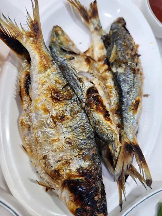 전어의 실제 제철은 언제인가요?