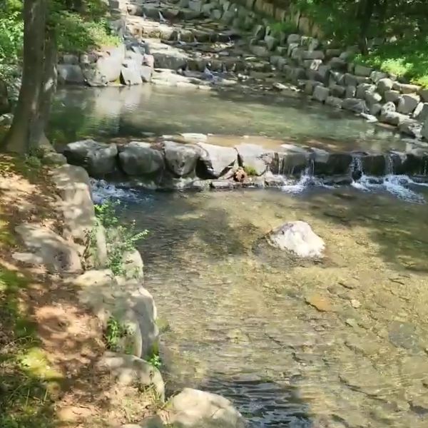 흑석산자연휴양림