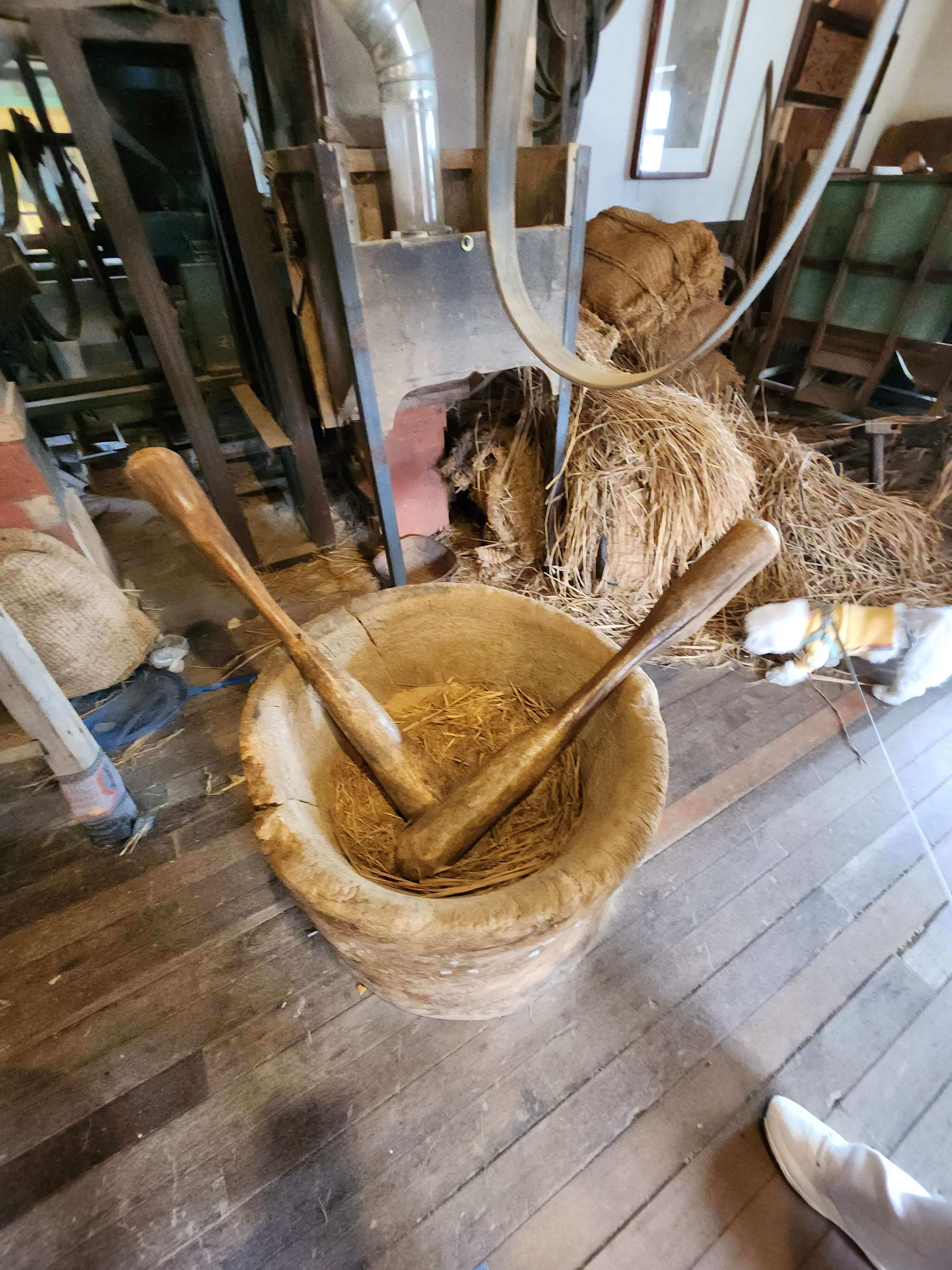 전주 애견동반 갈만한 곳 전주난장