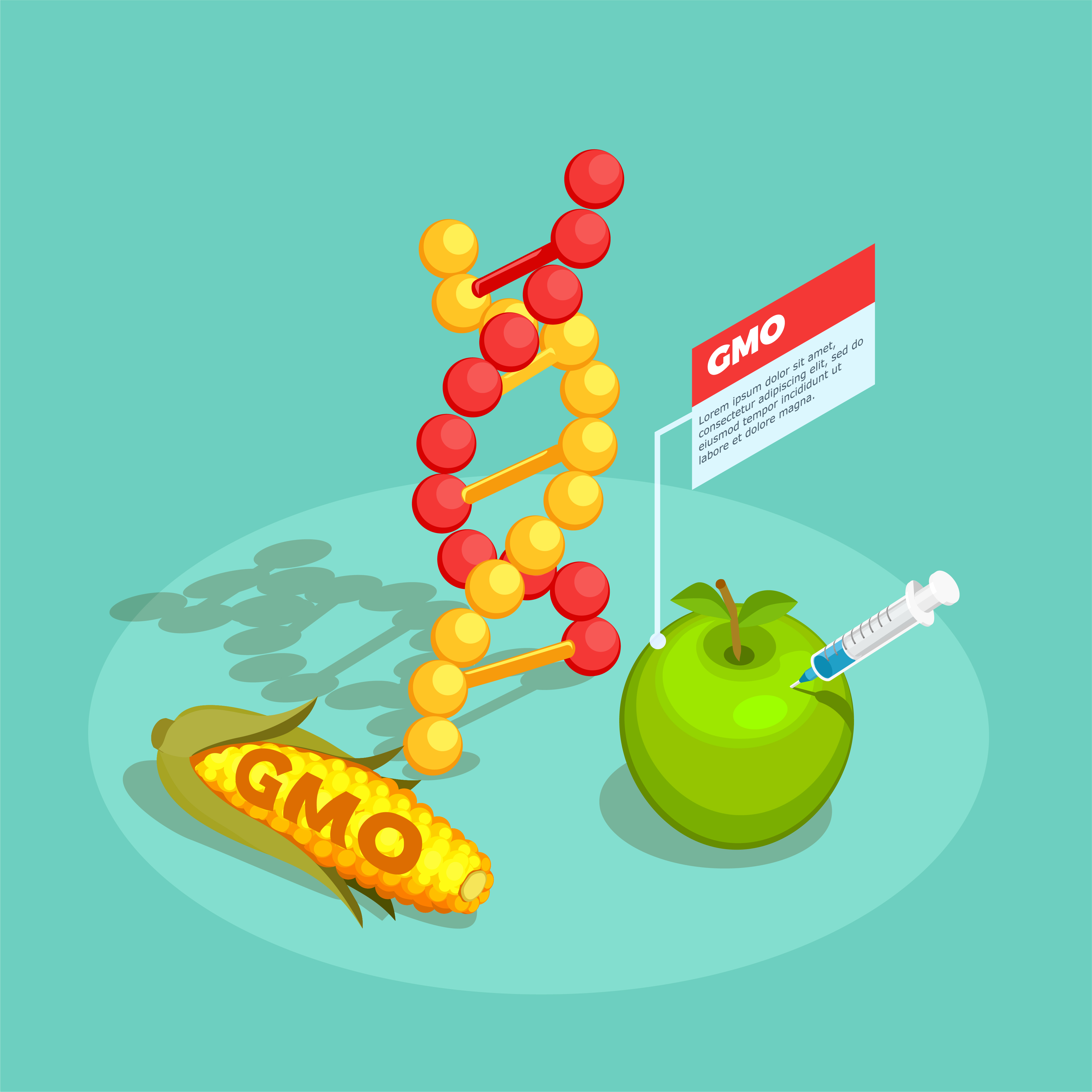 GMO 표시제도 2026