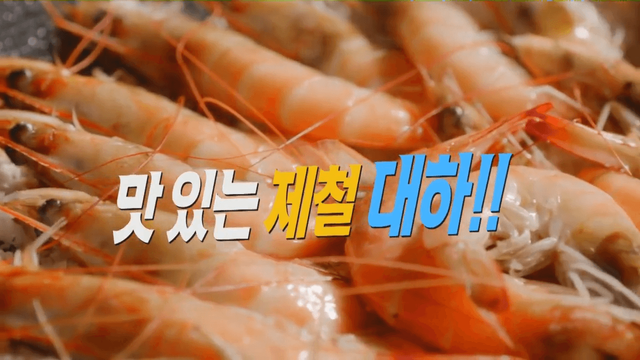 홍성 남당항 대하 축제 