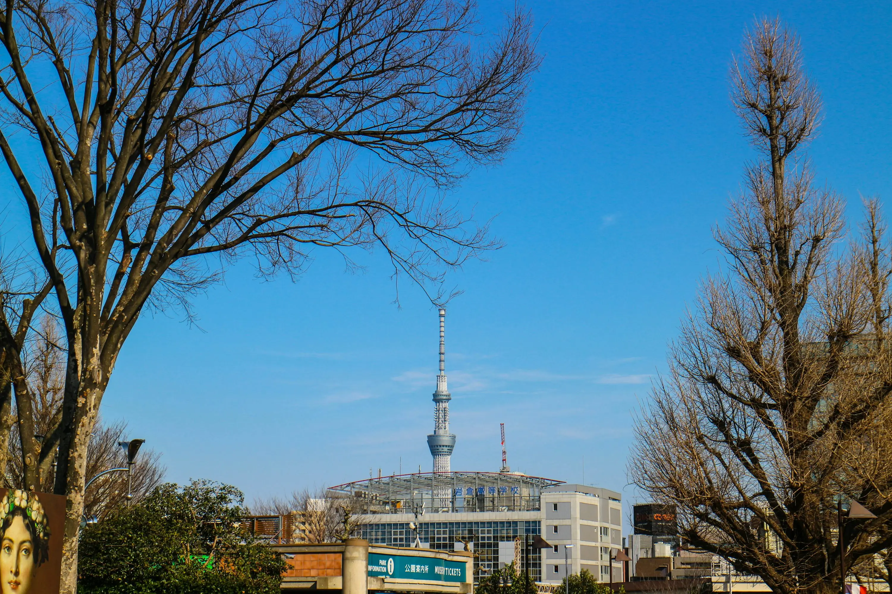 도쿄여행ㅣ일본 도쿄의 숨겨진 매력발견 