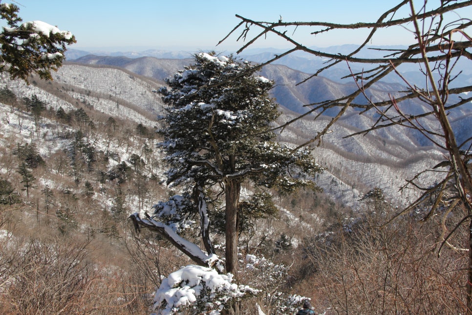 100대 명산 등산하기 평창 계방산(桂芳山, 1,577m) 설악·오대산과 함께 강원도 고산지대의 대표 명산