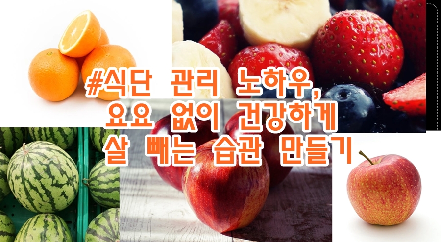 요요 없이 건강하게 살 빼는 습관 만들기