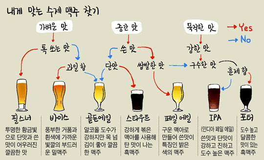 내게 맞는 맥주 추천