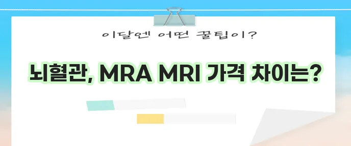 mra와 mri의 차이 검사 비용 가격 뇌혈관
