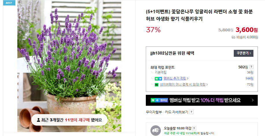 꽃말 이쁜 꽃과 15가지 인기 꽃말 모음 및 의미