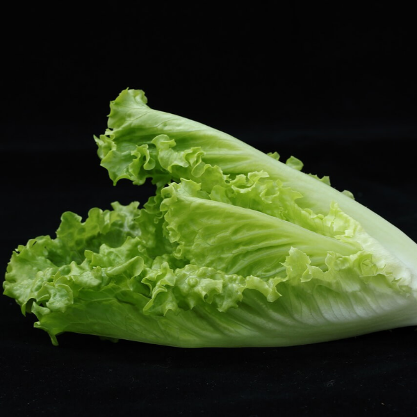 루테인 지아잔틴 사진 14