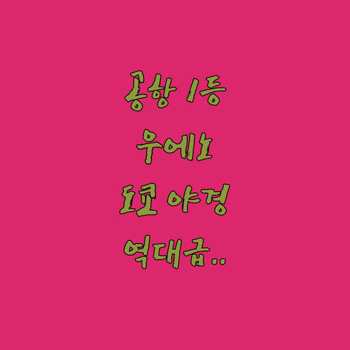 나리타 공항 가기 편한 우에노 숙소와..