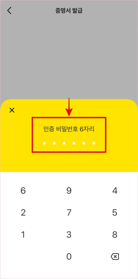 인증 비밀번호 6자리를 입력