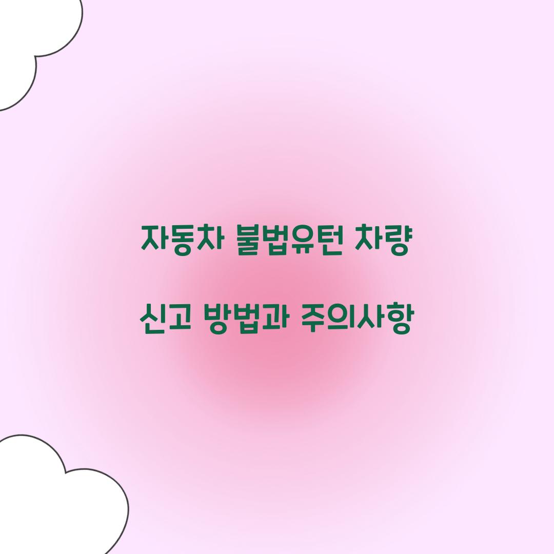 자동차 불법유턴 차량 신고