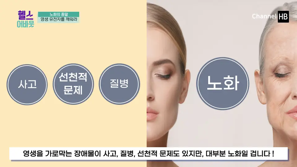 NMN효능