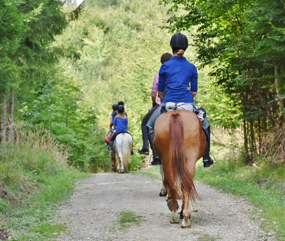 동물과 교감할 수 있는 농장 & 체험장 – 동물 먹이 주기, 승마 체험이 가능한 곳