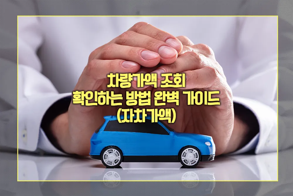차량가액 조회 확인하는 방법 자차가액