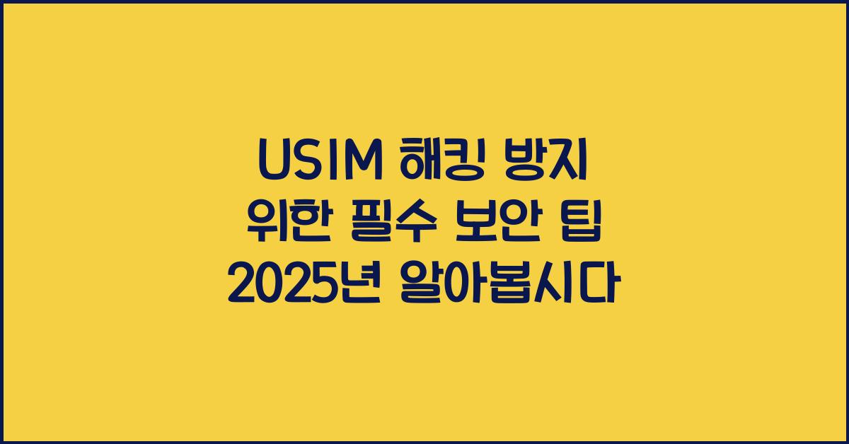 usim 해킹 방지