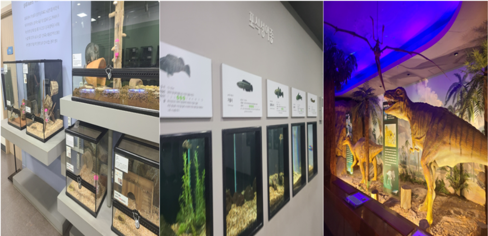 부천자연생태박물관