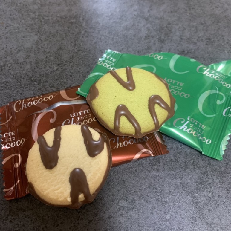 초코코 초코맛 녹차 맛