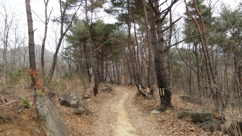100대 명산 등산하기 열아홉번째 양산 천성산 부산·양산권에서 사계절 내내 사랑받는 산